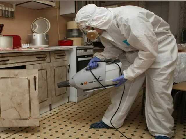 дезинфекция